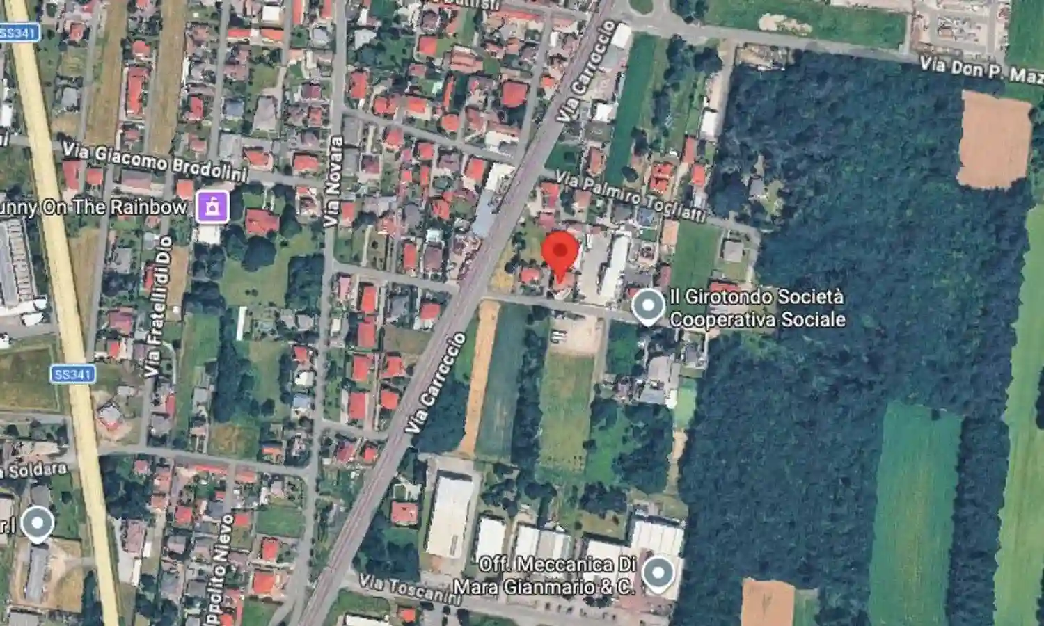 Palazzo - Stabile - foto 5