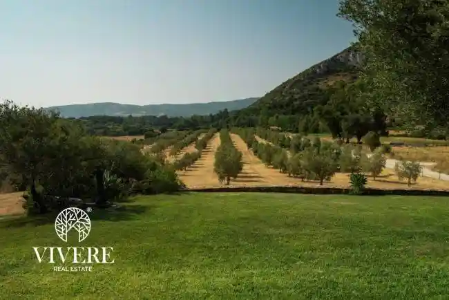 Palazzo - Edificio in vendita a Siniscola