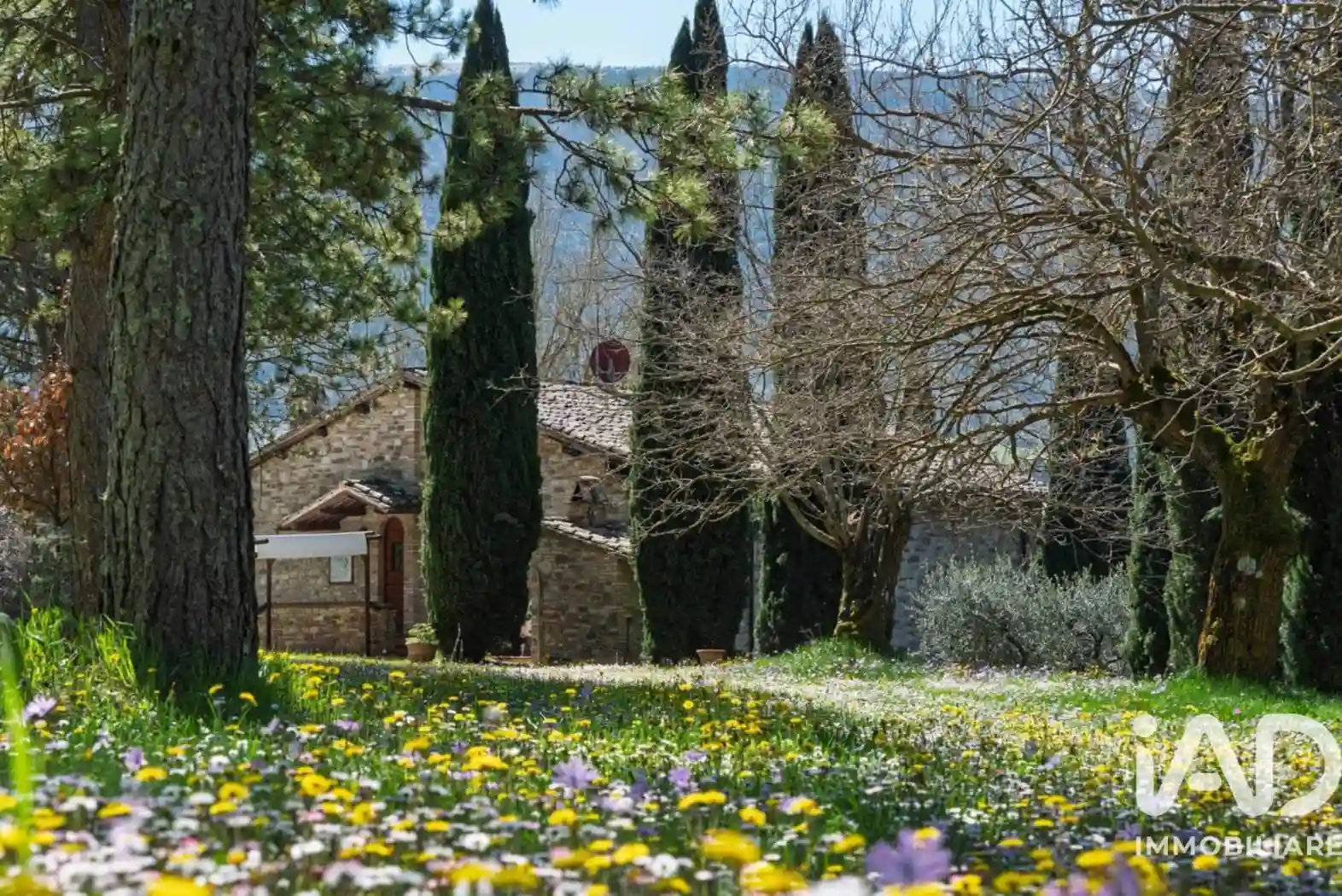 Rustico - Casale - foto 2