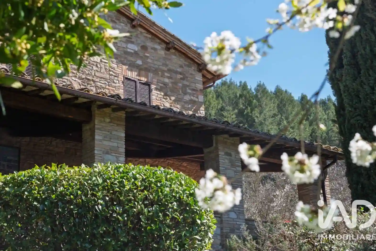 Rustico - Casale - foto 5