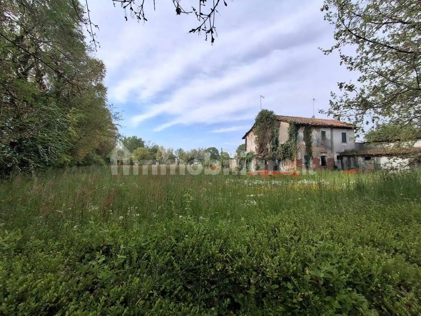 Rustico - Casale in vendita a Trebaseleghe