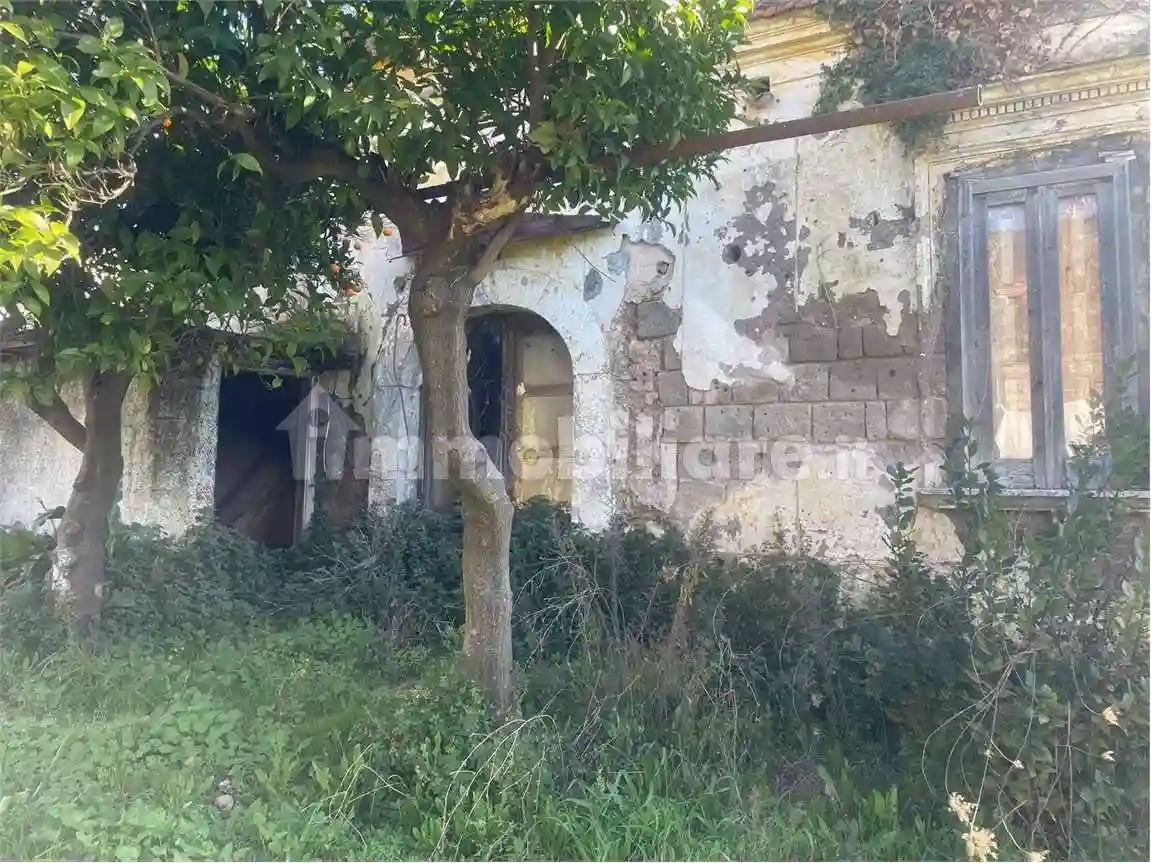 Palazzo - Edificio - foto 4