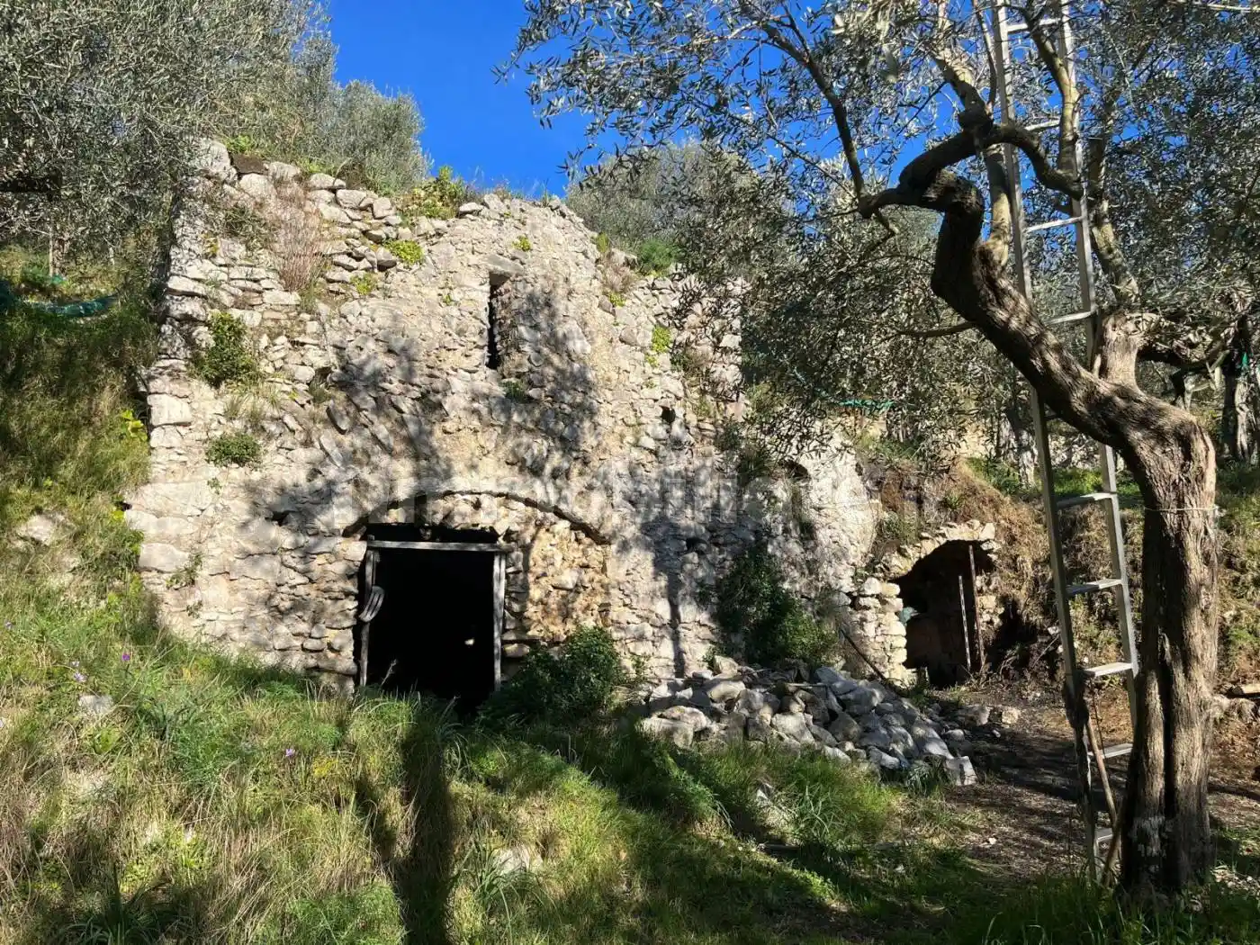 Rustico - Casale in vendita a Vico Equense