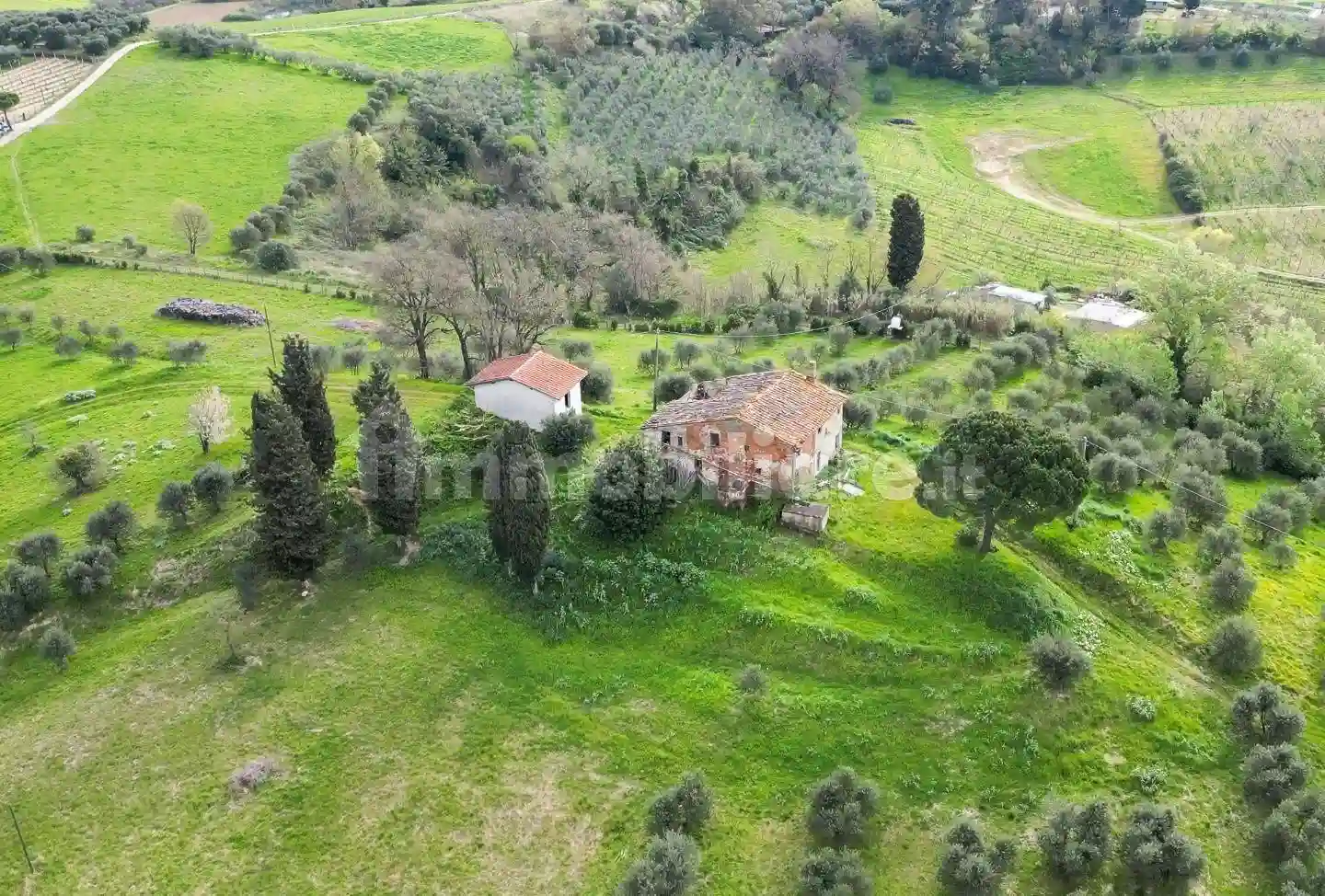 Rustico - Casale - foto 3