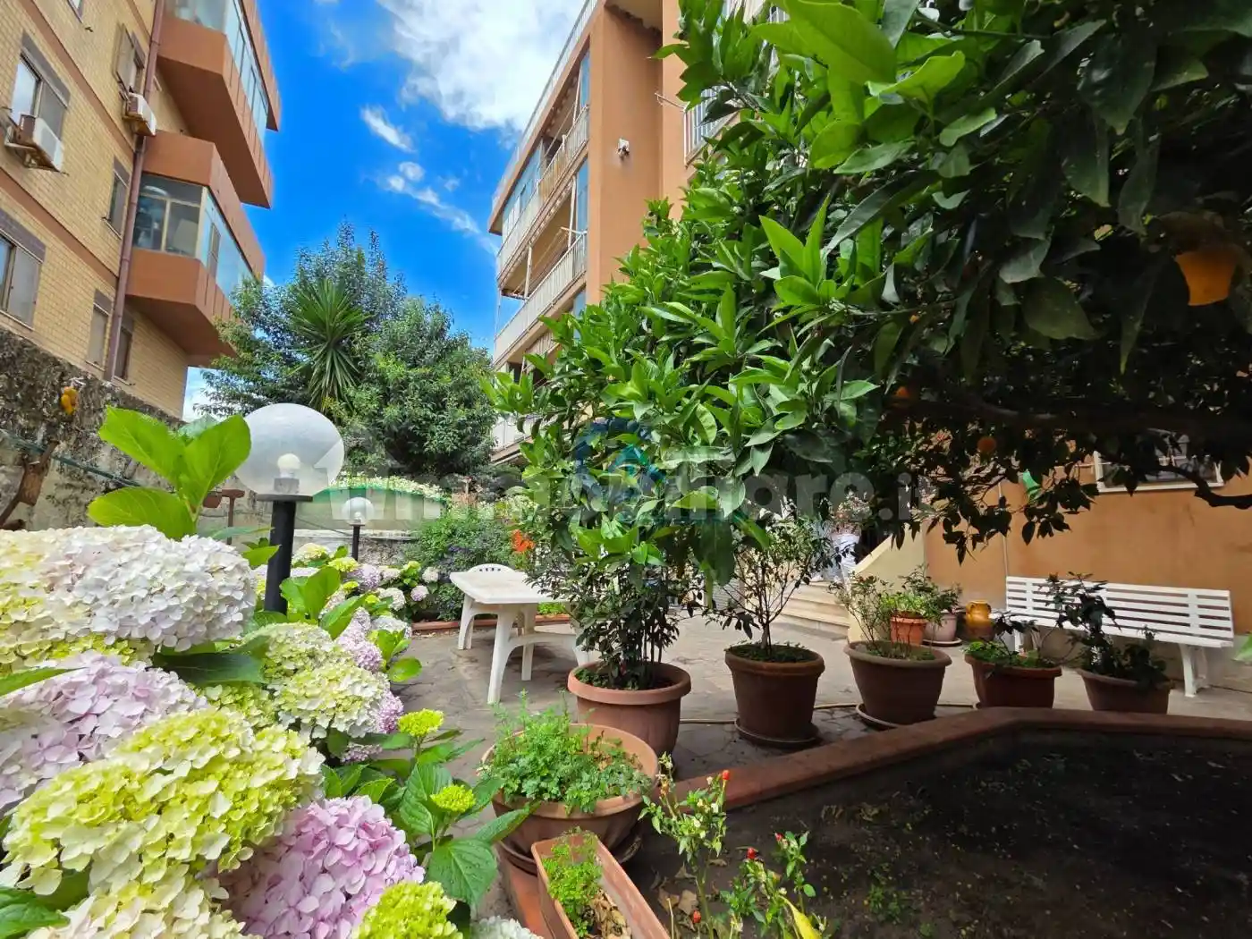 Appartamento in affitto a Catanzaro