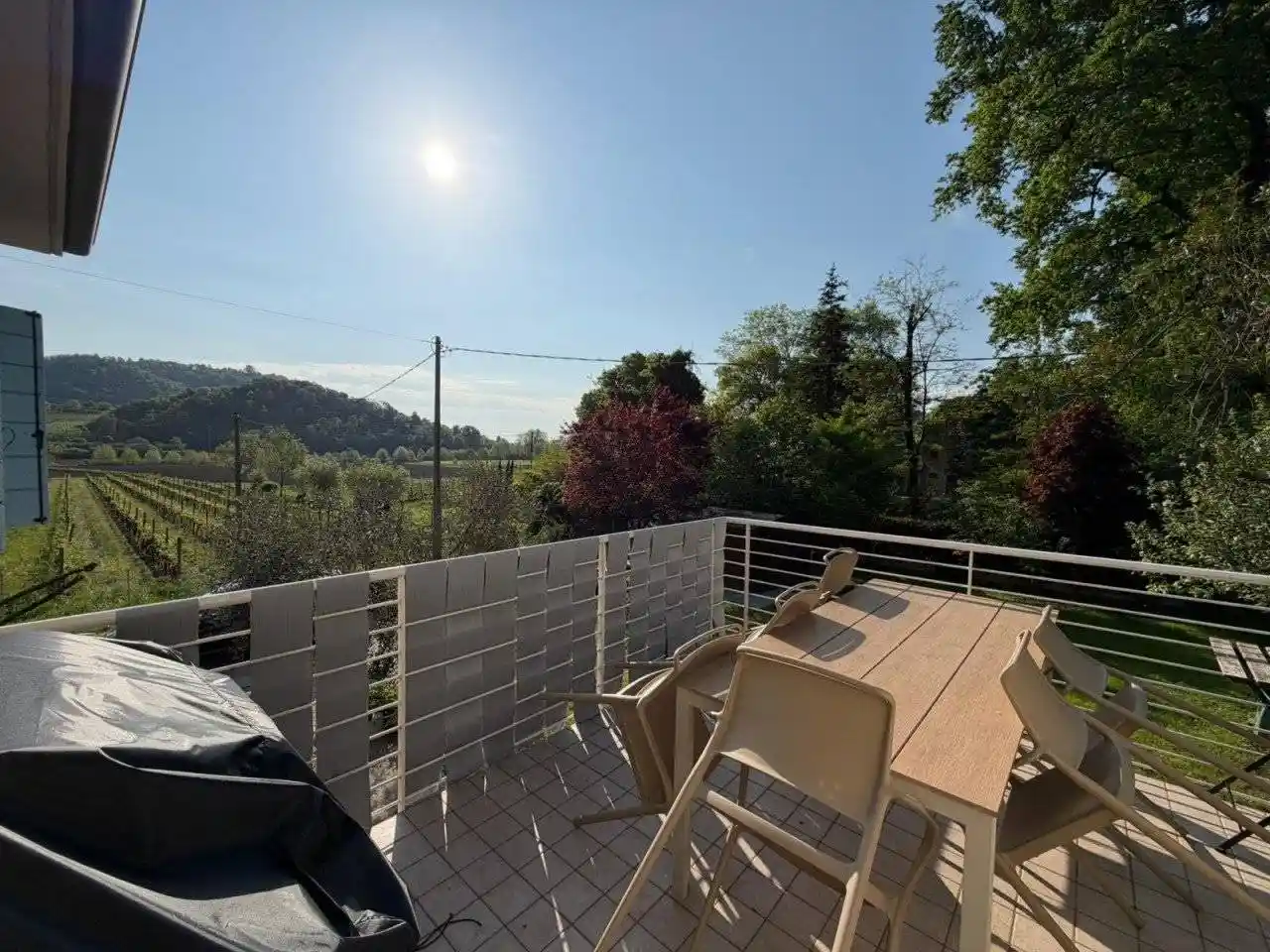 Appartamento in vendita a Torreglia