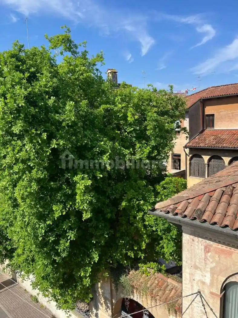 Appartamento in affitto a Treviso