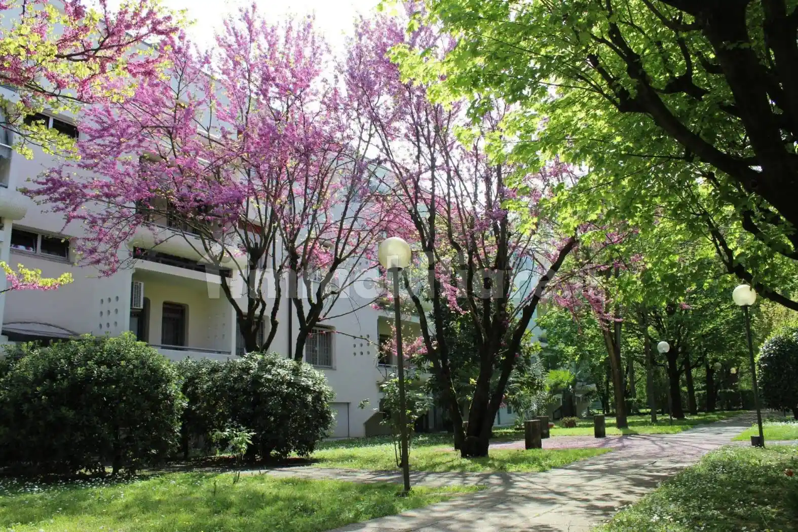Appartamento in vendita a Bologna