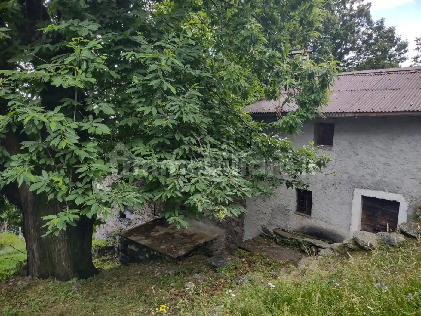 Rustico - Casale in vendita a Montemezzo