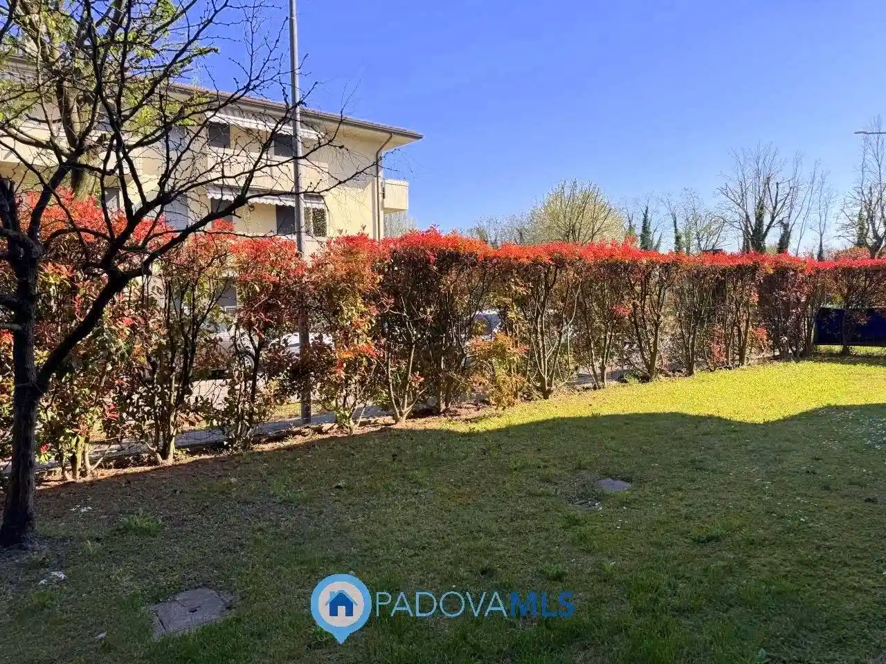 Appartamento in vendita a Vigodarzere