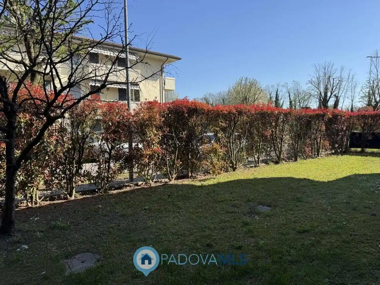 Appartamento in vendita a Vigodarzere