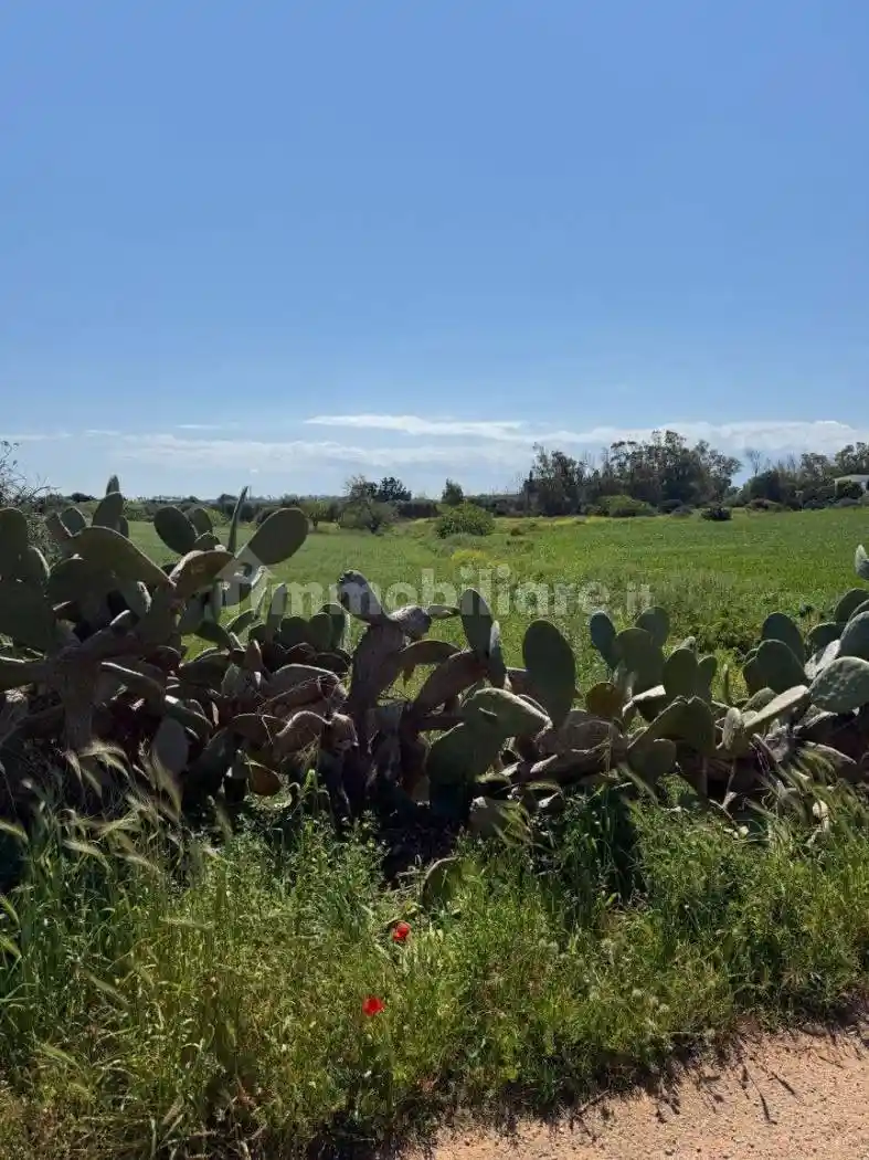 Villa in vendita a Carovigno