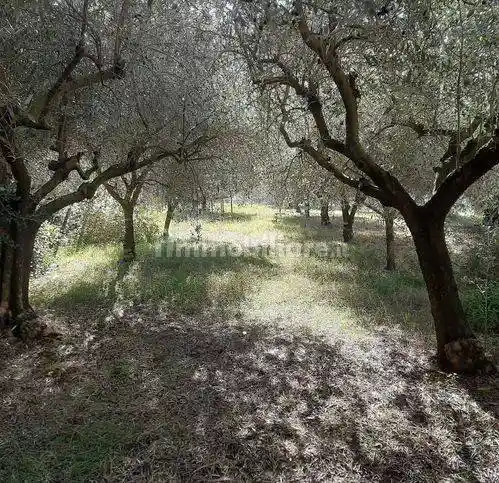 Appartamento in vendita a Perugia