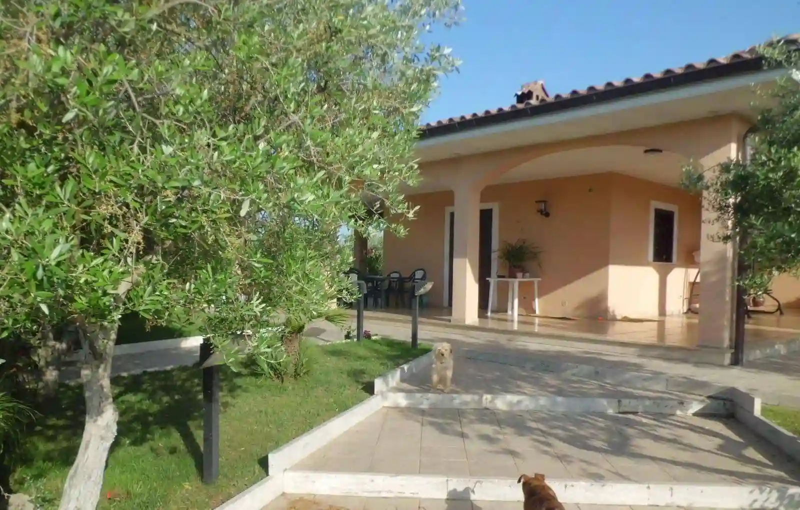 Villa - foto 2