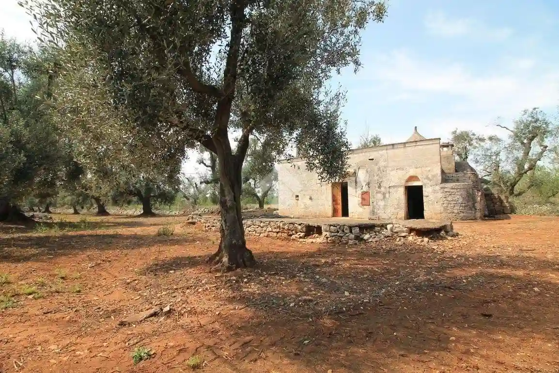Rustico - Casale - foto 2