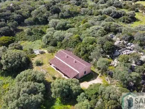 Rustico - Casale in vendita a Luogosanto