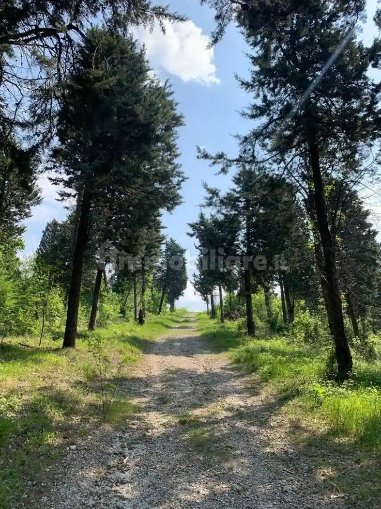 Rustico - Casale in vendita a Casalecchio di Reno