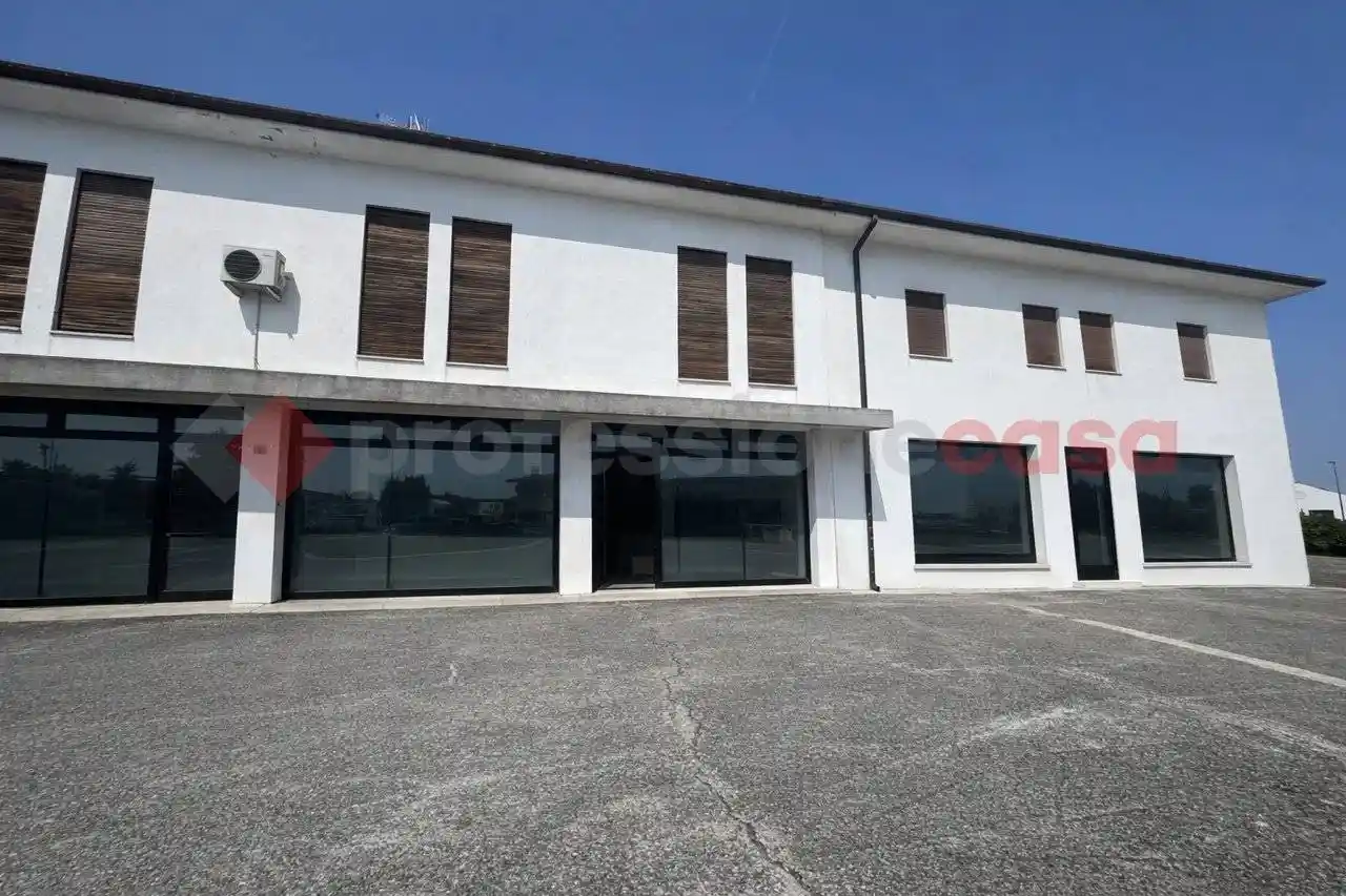 Palazzo - Edificio in vendita a Monselice