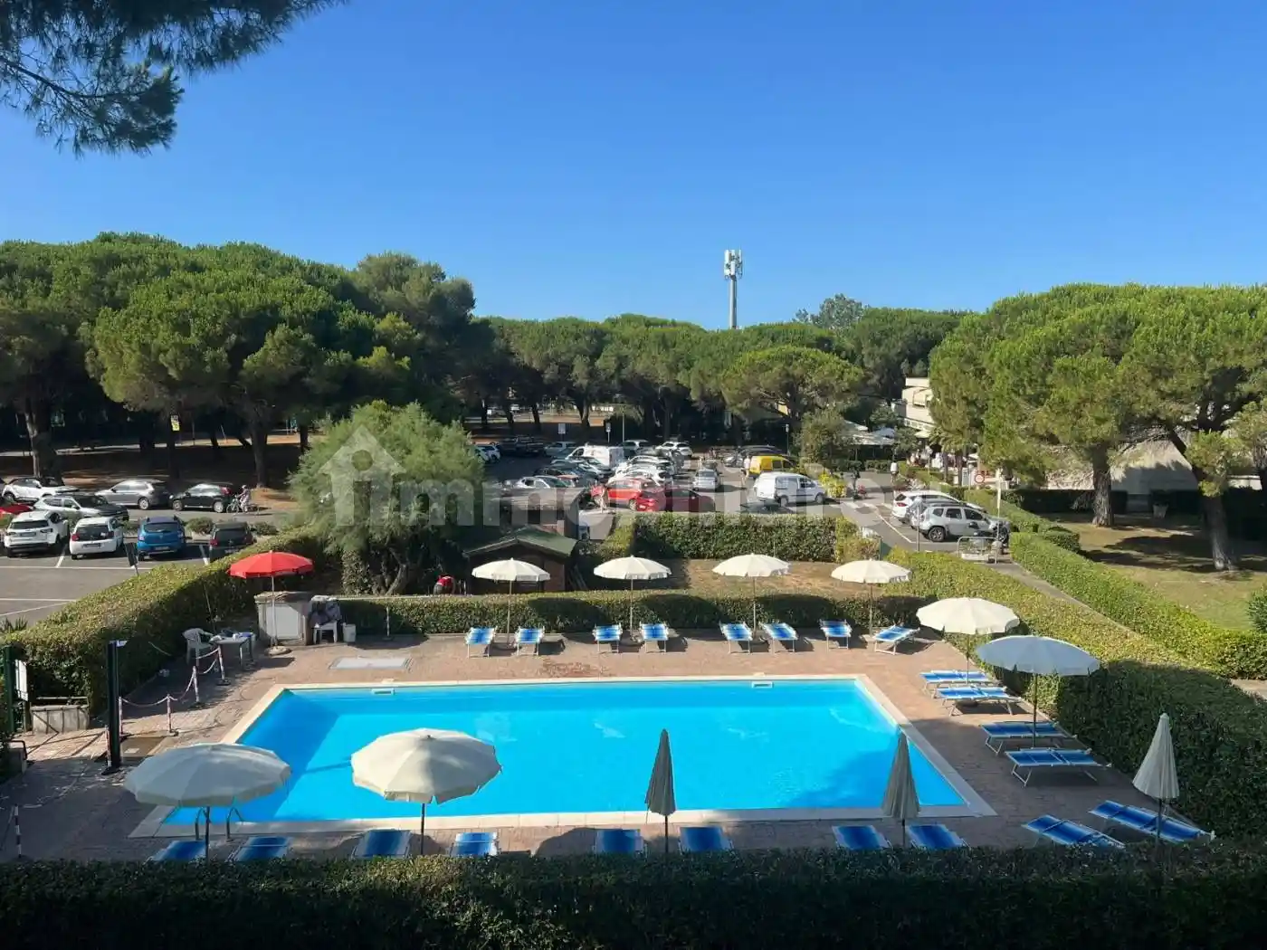 Appartamento in vendita a Bibbona