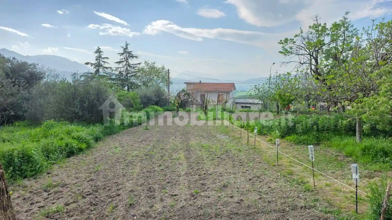 Villetta a schiera - foto 5