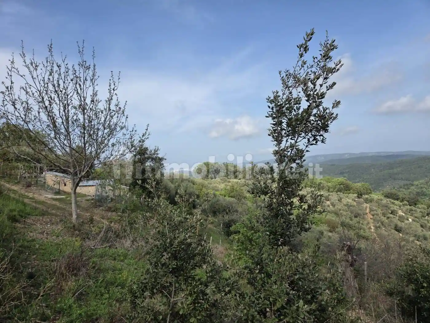 Rustico - Casale in vendita a Vico del Gargano