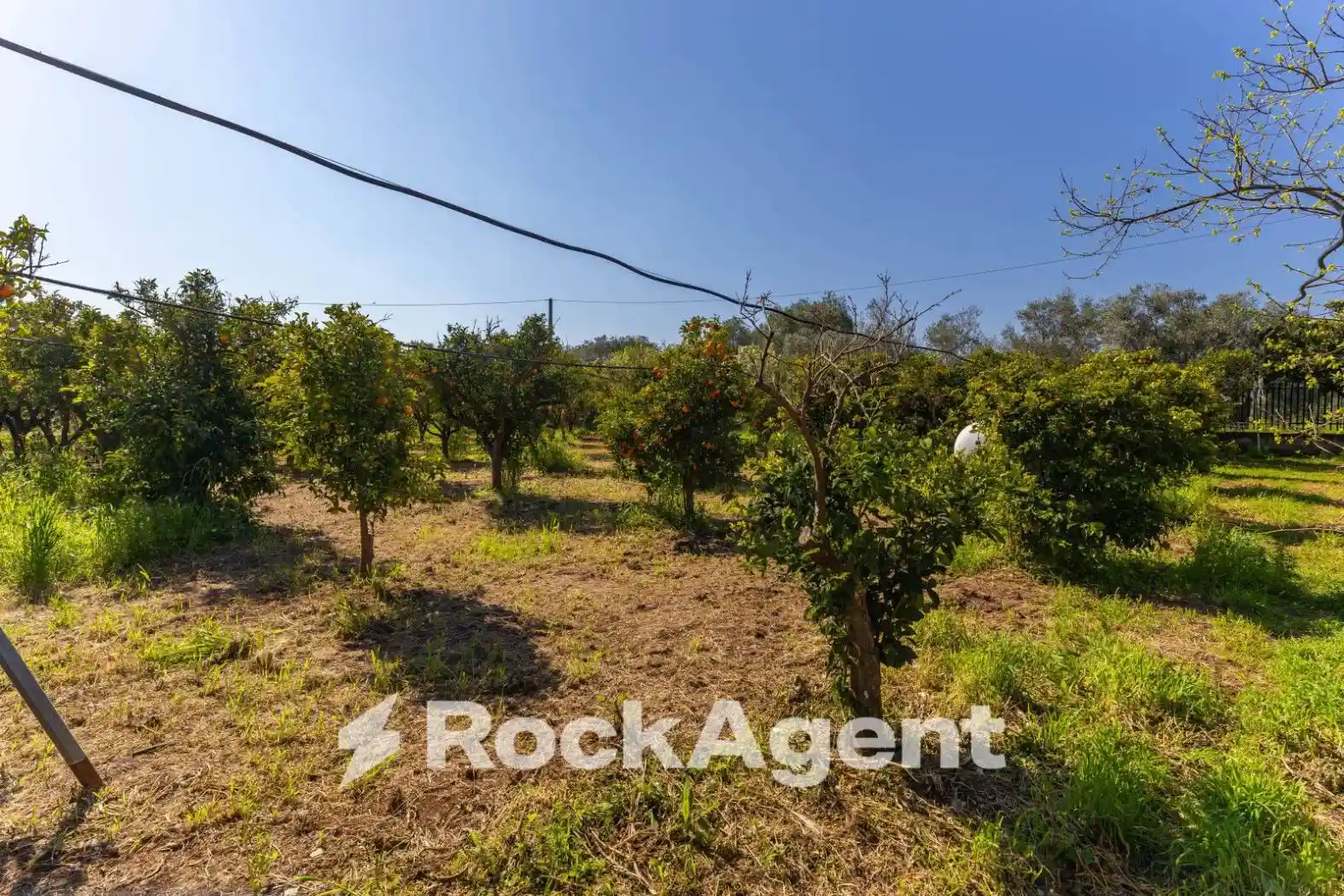 Villa in vendita a Giovinazzo