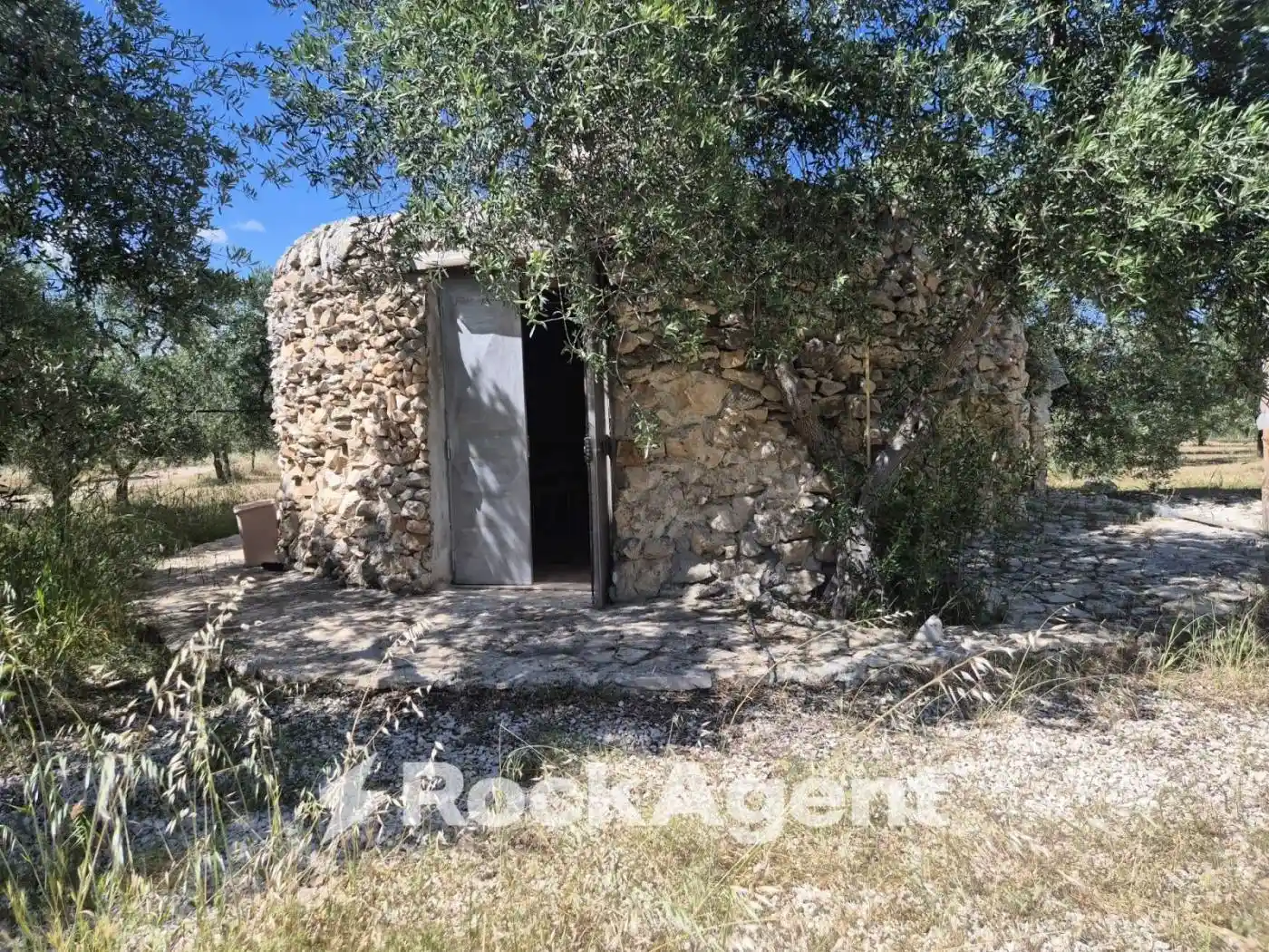 Rustico - Casale in vendita a Andria
