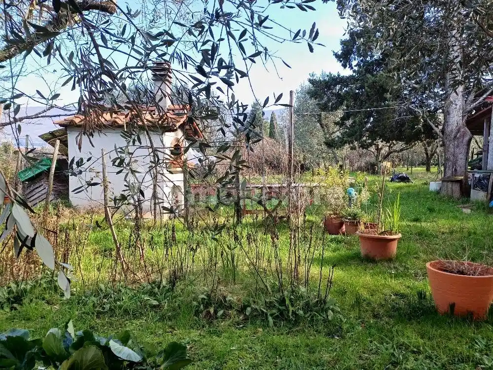 Rustico - Casale in vendita a Reggello