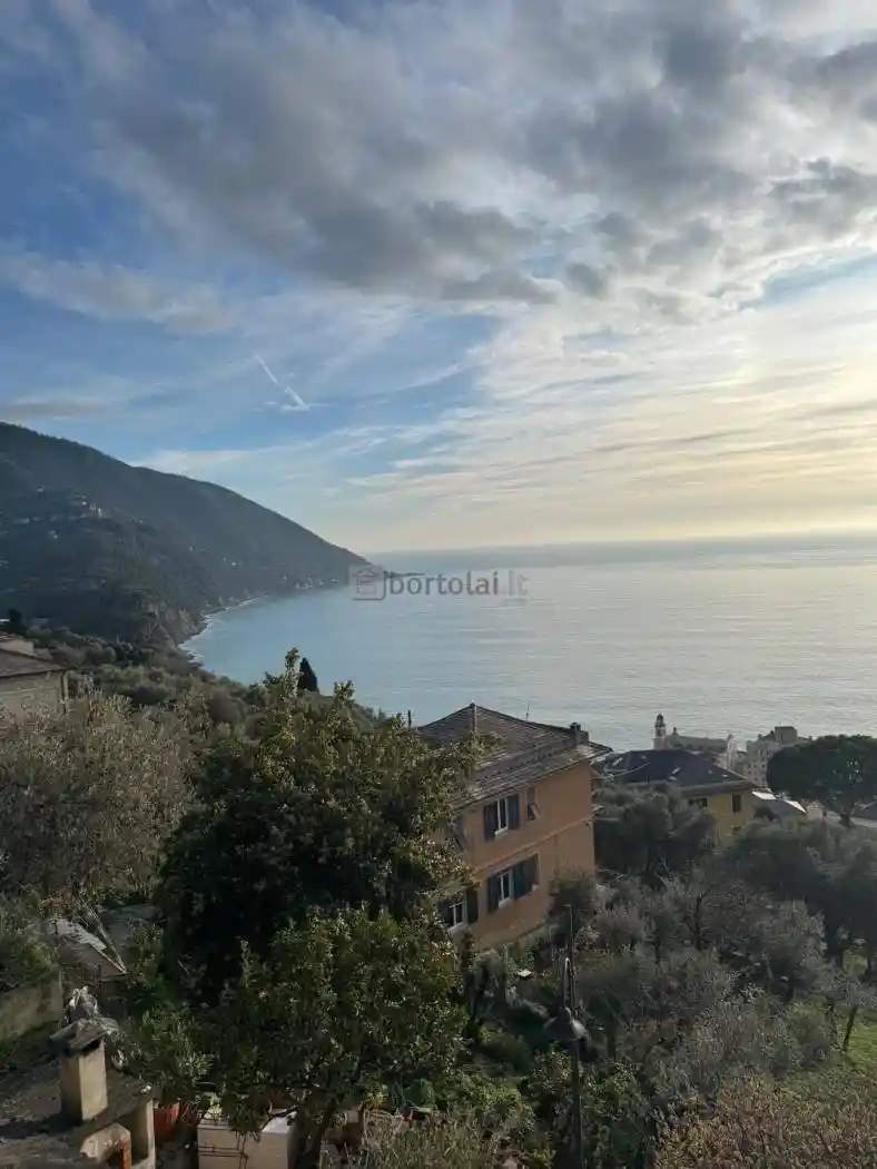Appartamento in affitto a Camogli
