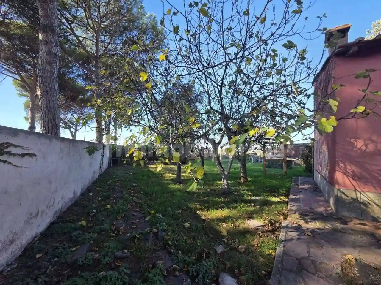 Palazzo - Edificio - foto 5