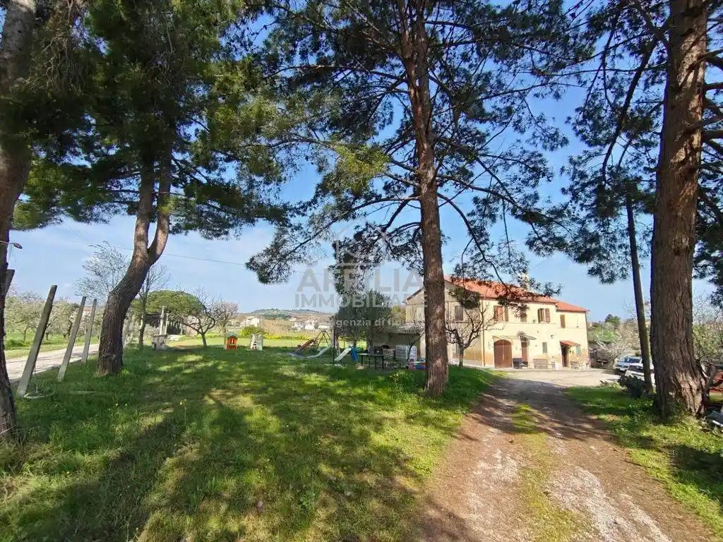 Rustico - Casale in vendita a Monsano