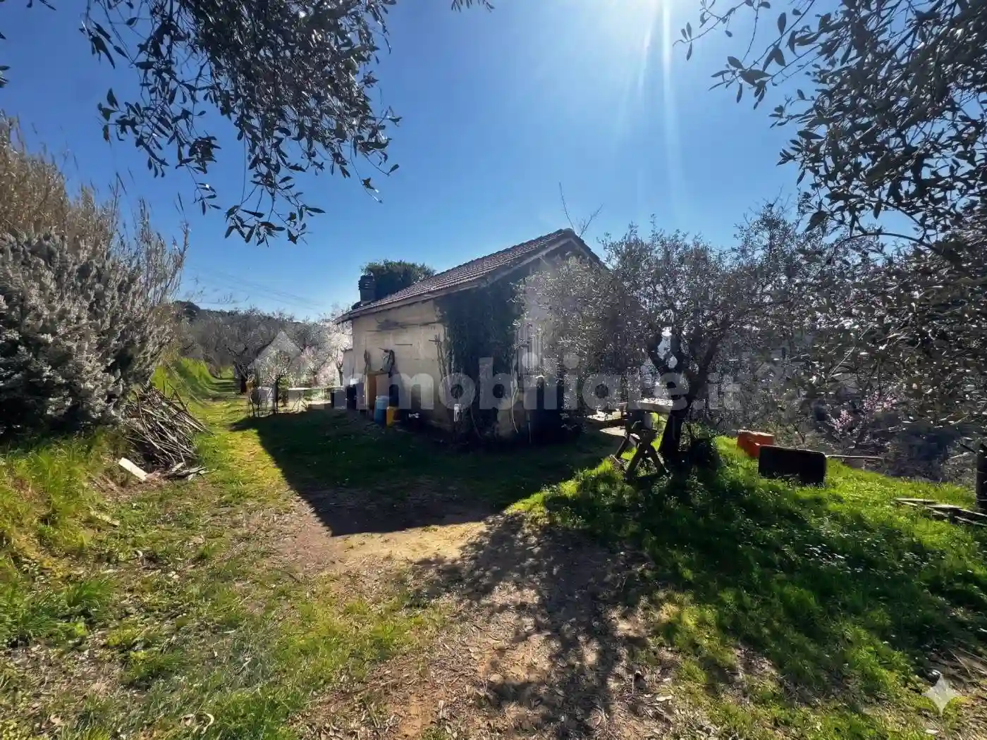 Rustico - Casale - foto 3