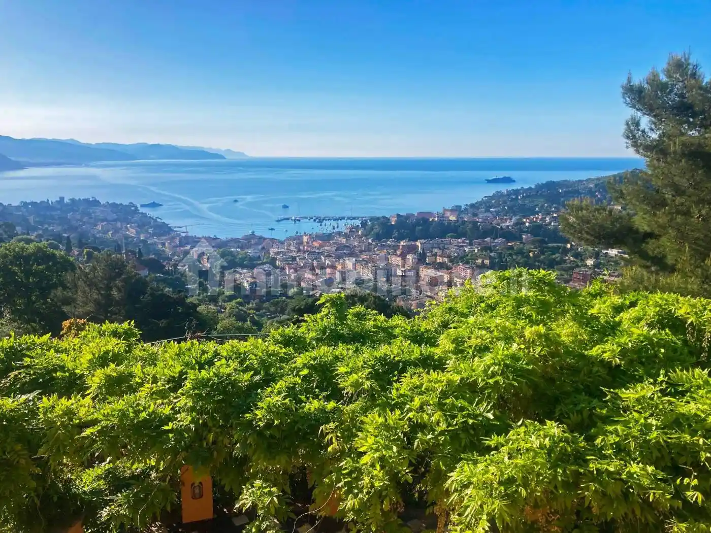 Villa in affitto a Santa Margherita Ligure