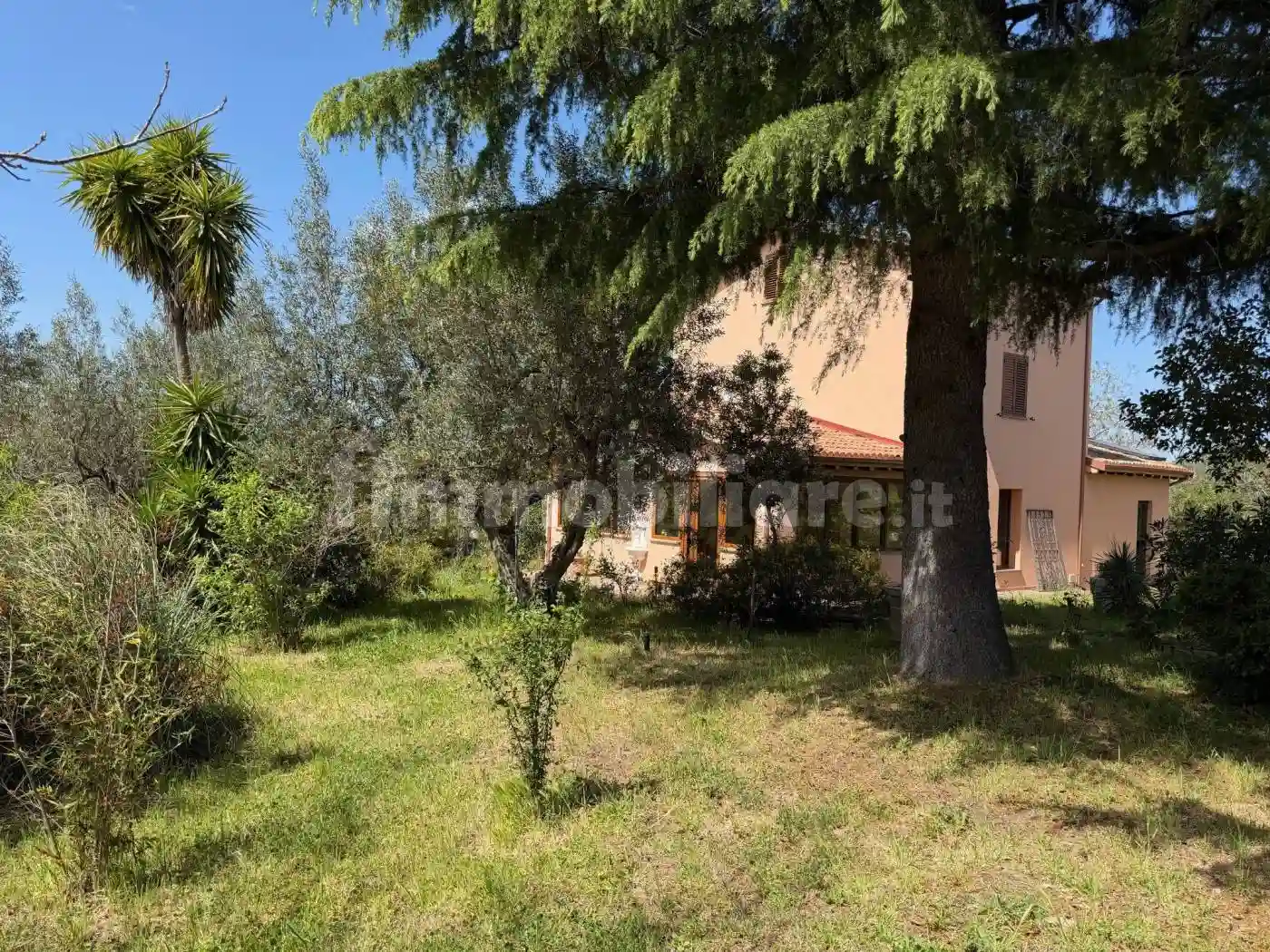 Rustico - Casale - foto 5