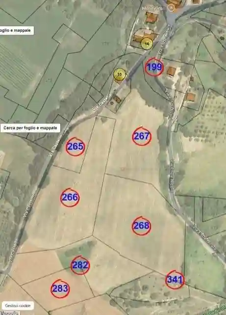 Rustico - Casale - foto 3