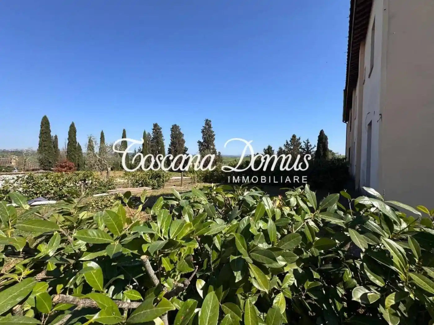 Casa indipendente in vendita a Asciano