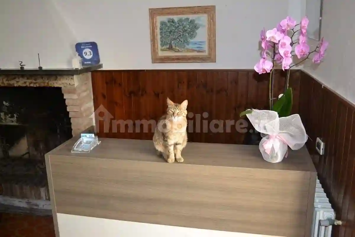 Casa indipendente - foto 5