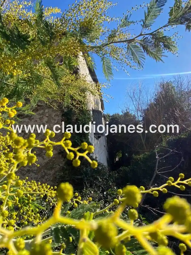 Rustico - Casale in vendita a Genova