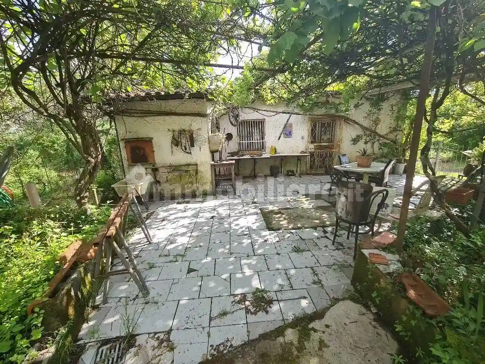 Rustico - Casale - foto 3