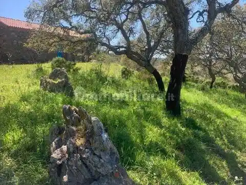 Villa in vendita a Erula