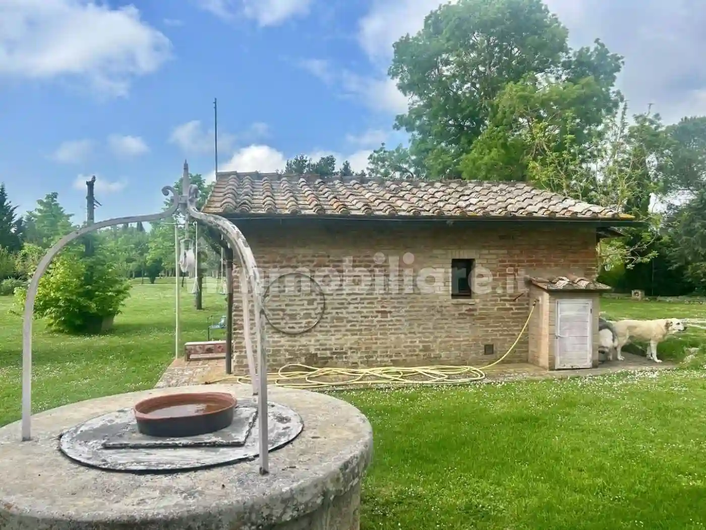 Rustico - Casale - foto 4