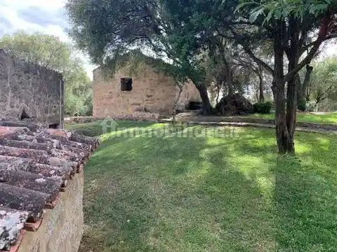 Villa in vendita a Arzachena