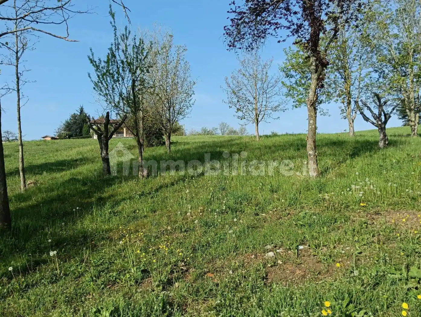 Appartamento in affitto a Neviano degli Arduini