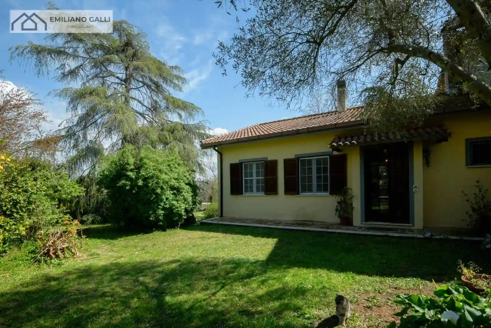 Villa - foto 4