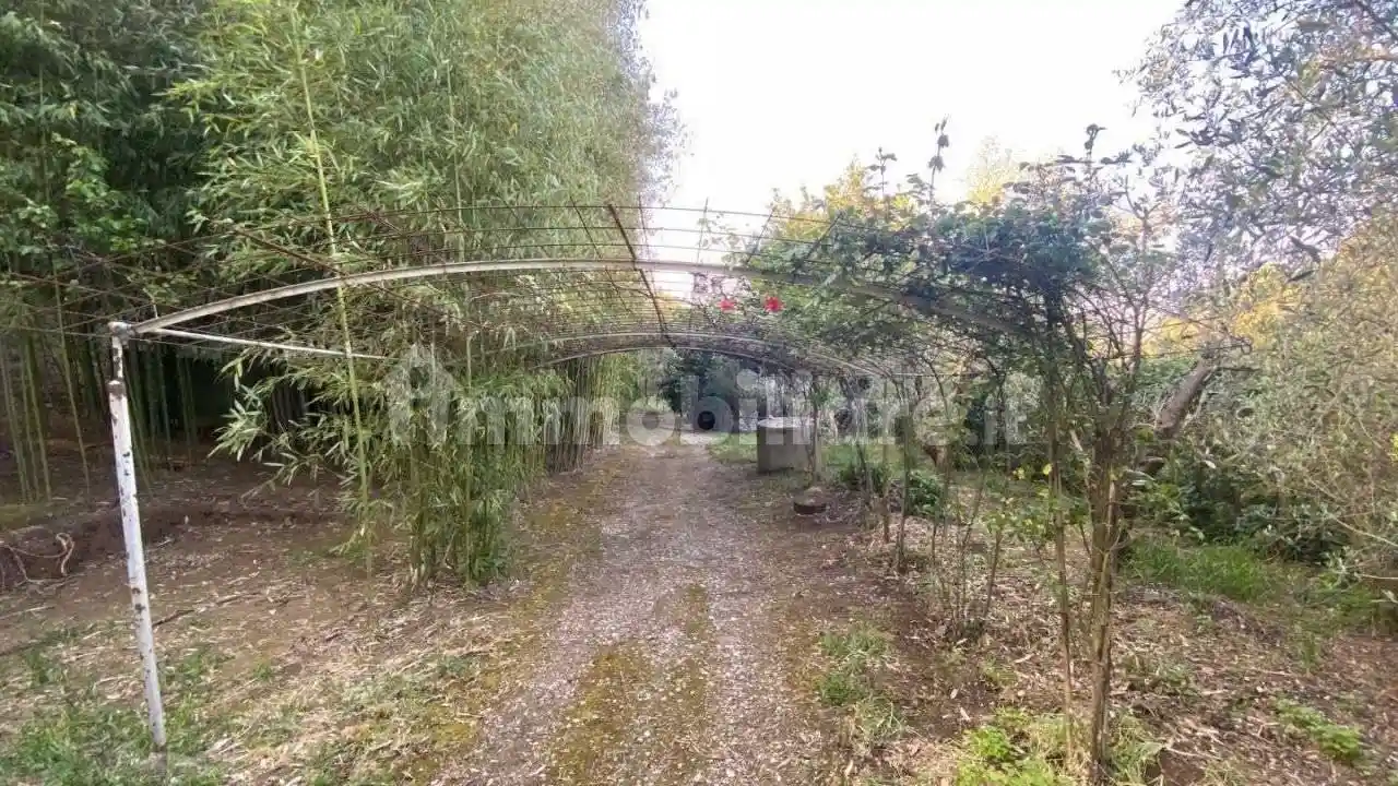 Rustico - Casale in vendita a Roccastrada