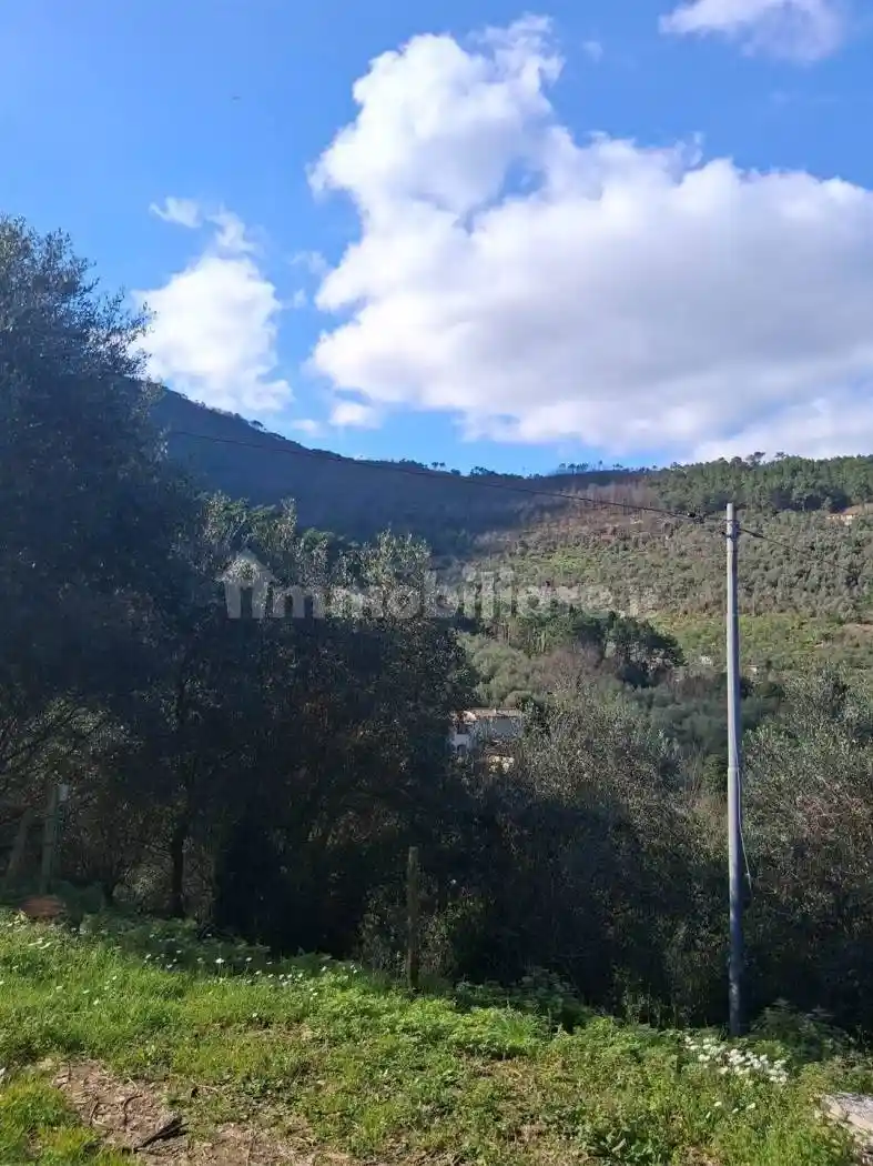 Appartamento in vendita a Buti