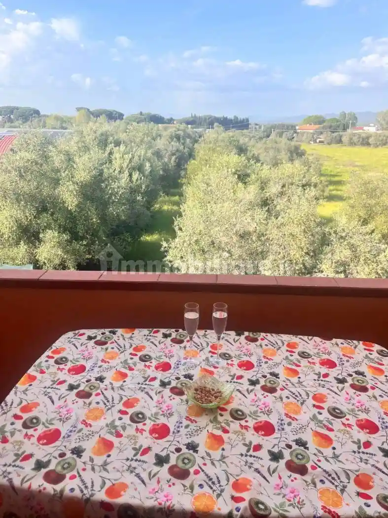 Appartamento in affitto a Castagneto Carducci