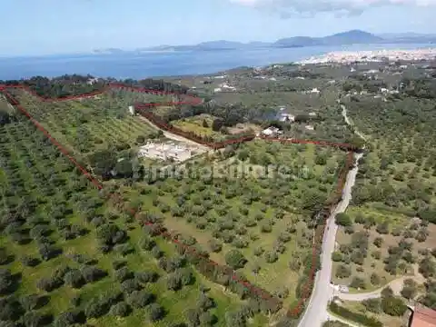 Villa in vendita a Alghero