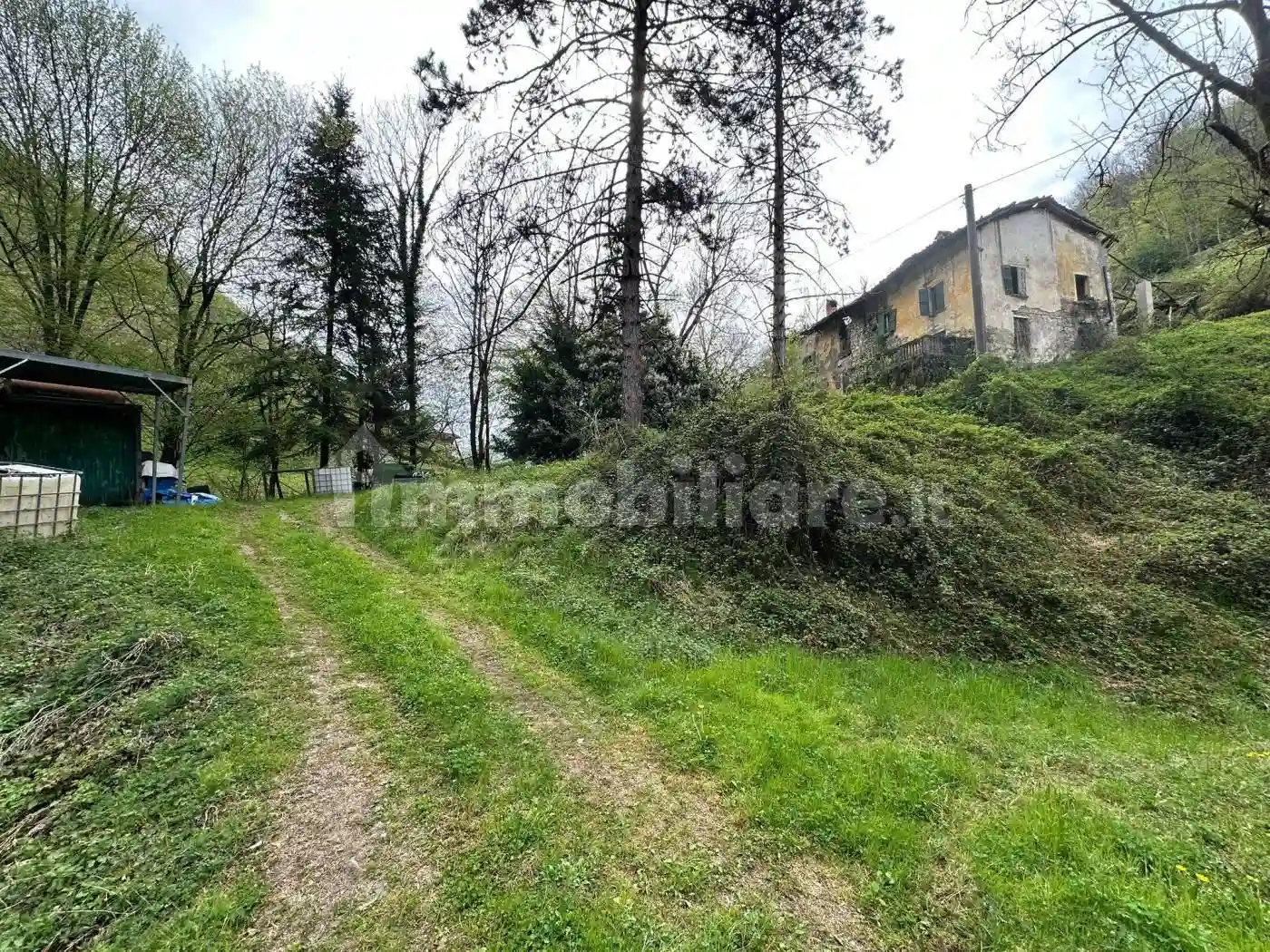 Rustico - Casale - foto 5