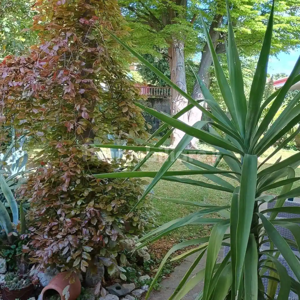 Villa in vendita a Tavagnacco